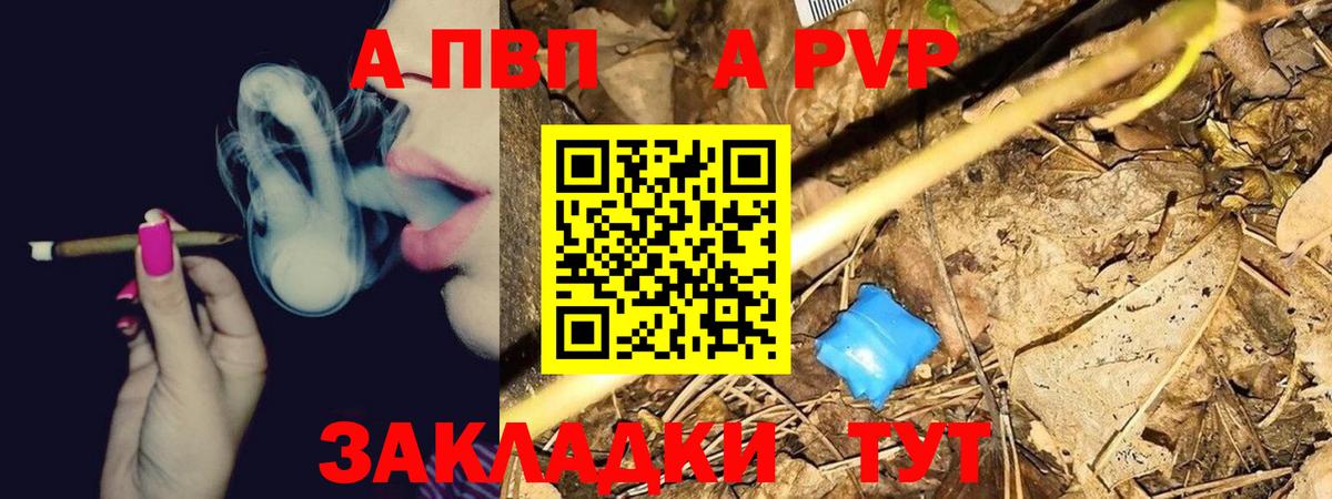Alfa_PVP СК Сосновоборск