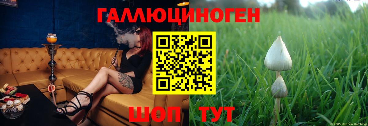 Псилоцибиновые грибы Magic Shrooms  Вход с VPN  Сосновоборск 
