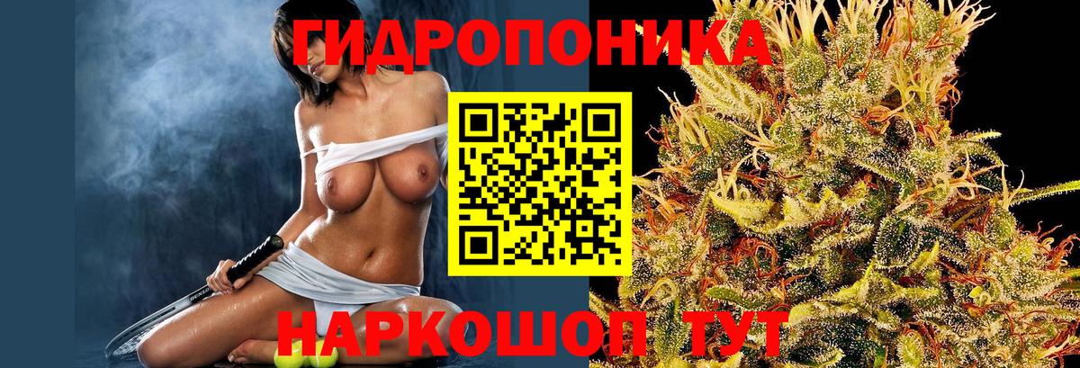 Бошки марихуана White Widow  Канабис SATIVA & INDICA  Сосновоборск  Вход с VPN 